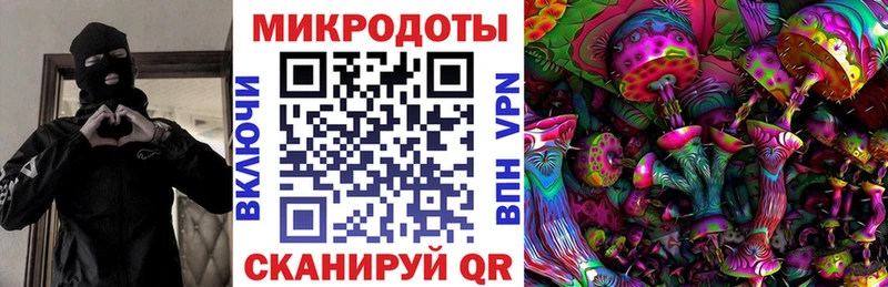 Галлюциногенные грибы Psilocybe Мелеуз